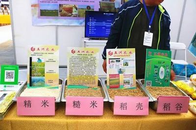 濟(jì)南都市農(nóng)產(chǎn)品博覽會 初級農(nóng)產(chǎn)品閃耀登場，優(yōu)秀企業(yè)與十佳商品評選火熱進(jìn)行