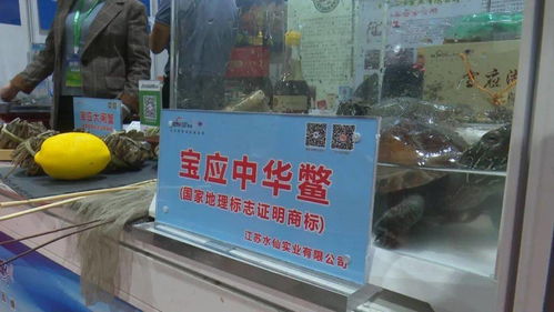 寶應(yīng)3企業(yè)優(yōu)質(zhì)農(nóng)產(chǎn)品亮相江蘇農(nóng)展會，上海市民競相“打call”